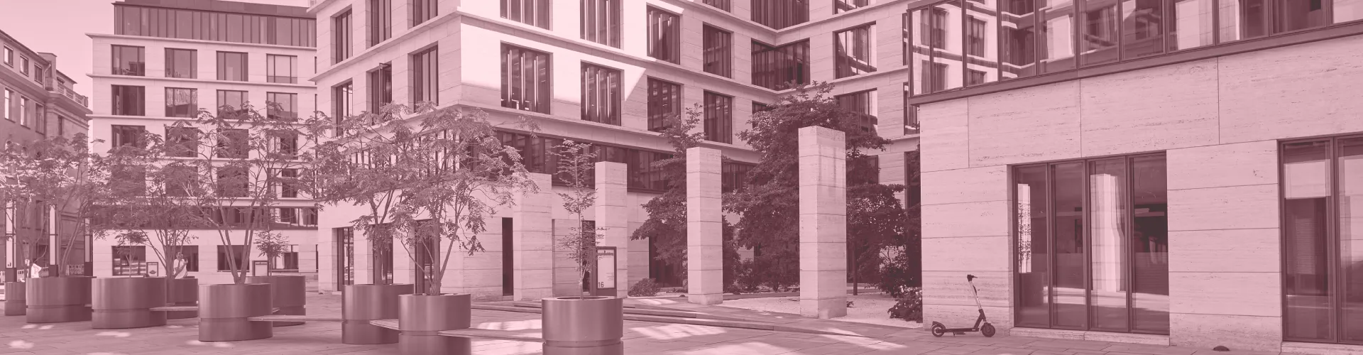 Architecture moderne avec arbres